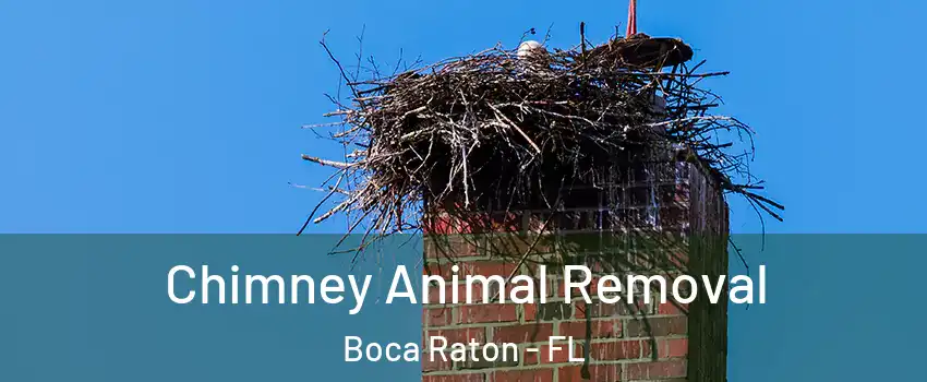 Chimney Animal Removal Boca Raton - FL